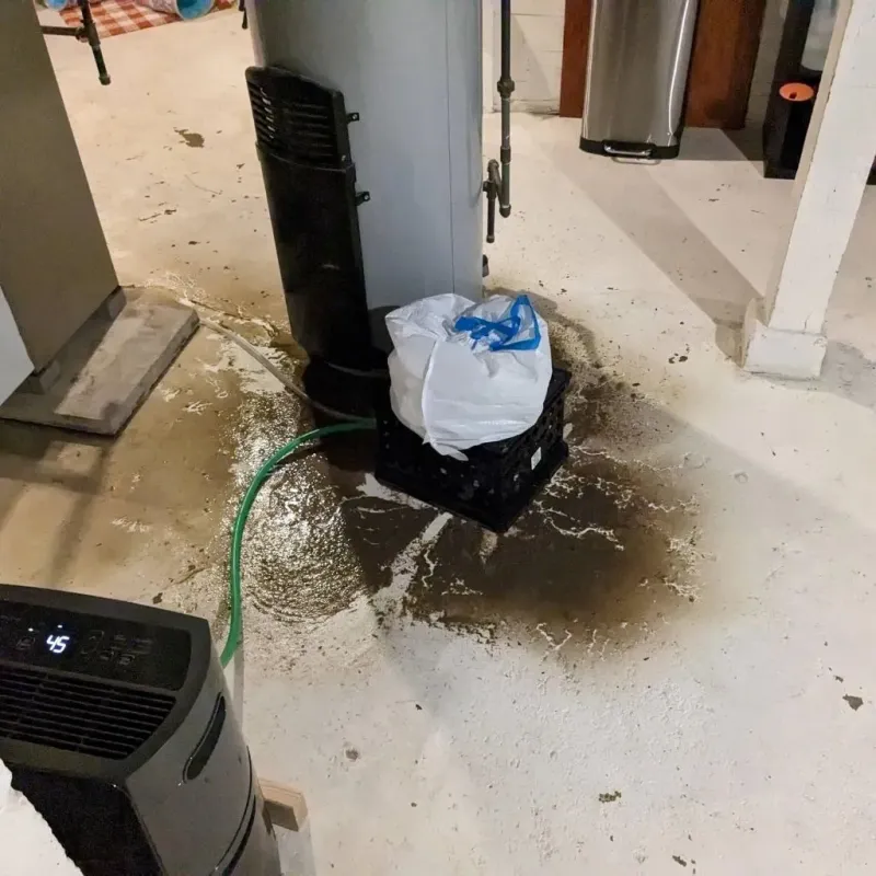 Sewage Backup Cleanup Service in Morrow County, OR